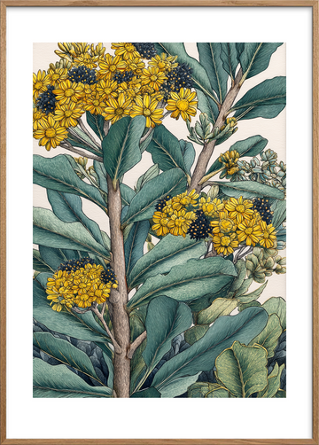 Gult sus i grønne blade - Oak Frame, With White Border