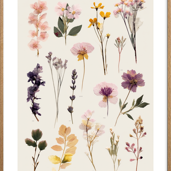 Hvisken fra tørret flora - Oak Frame, With White Border