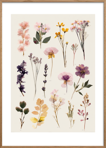 Hvisken fra tørret flora - Oak Frame, With White Border