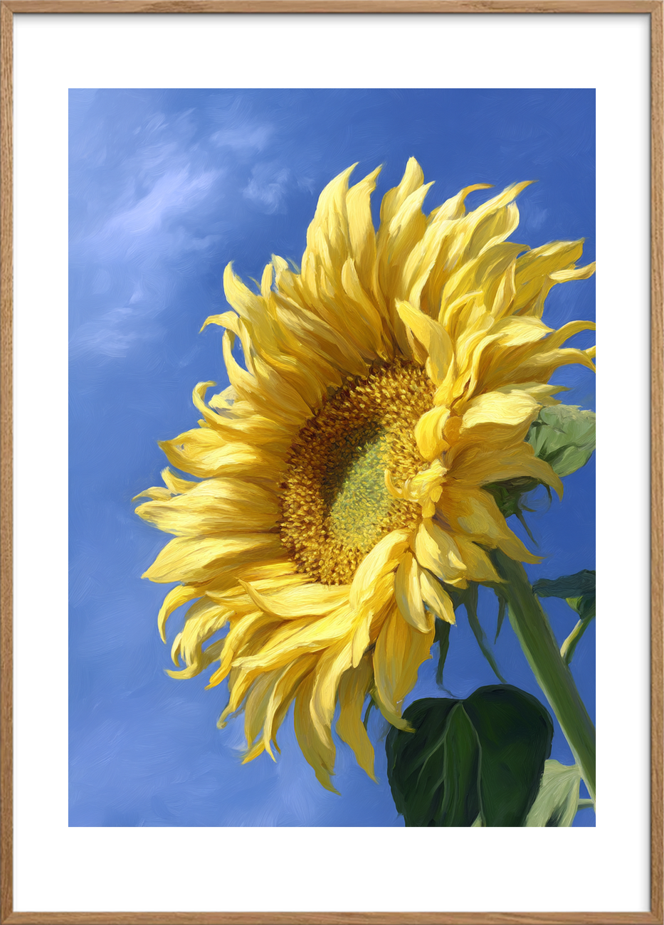 Sommerens gule sus - Oak Frame, With White Border