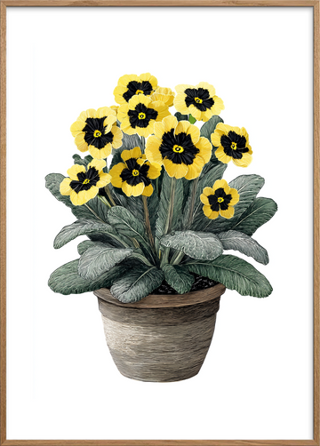 Morgendug og blød hvisken - Oak Frame, With White Border