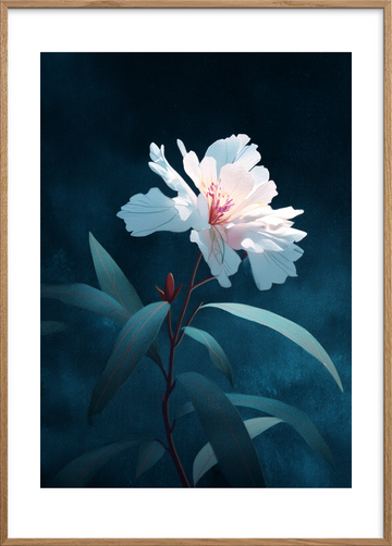 Silkesus i måneskin - Oak Frame, With White Border