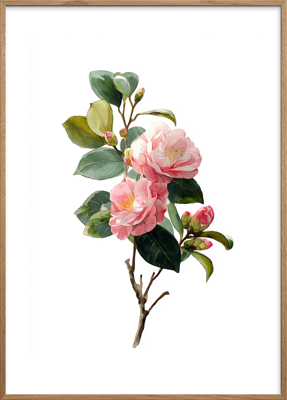 Silkesus i morgenlys - Oak Frame, With White Border