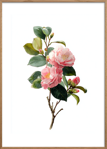 Silkesus i morgenlys - Oak Frame, With White Border