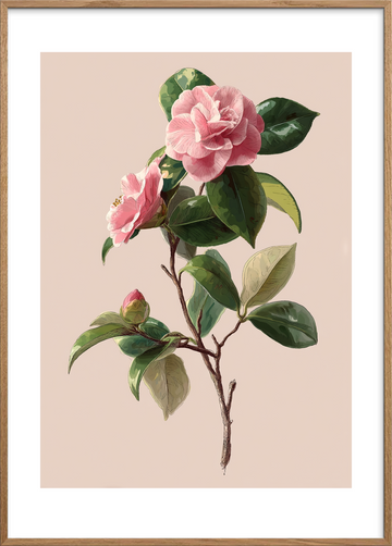 Sus af silke - Oak Frame, With White Border