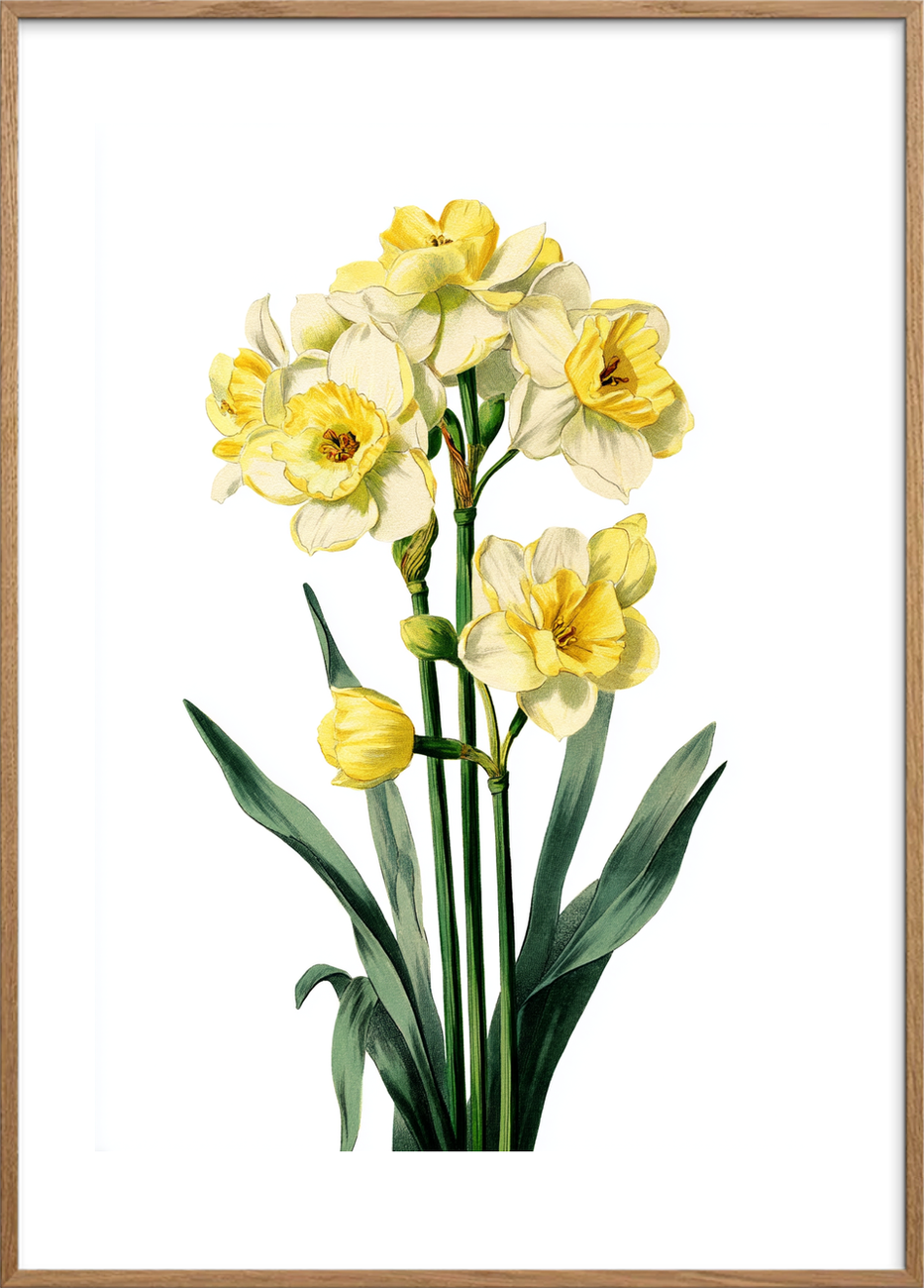 Solens blide hvisken - Oak Frame, With White Border