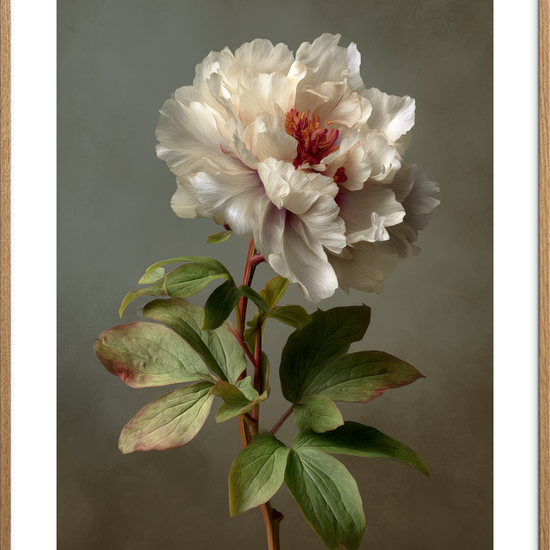 Silkesus i hvide lag - Oak Frame, With White Border