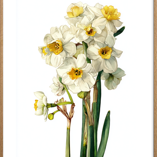 Suset fra hvide klokker - Oak Frame, With White Border