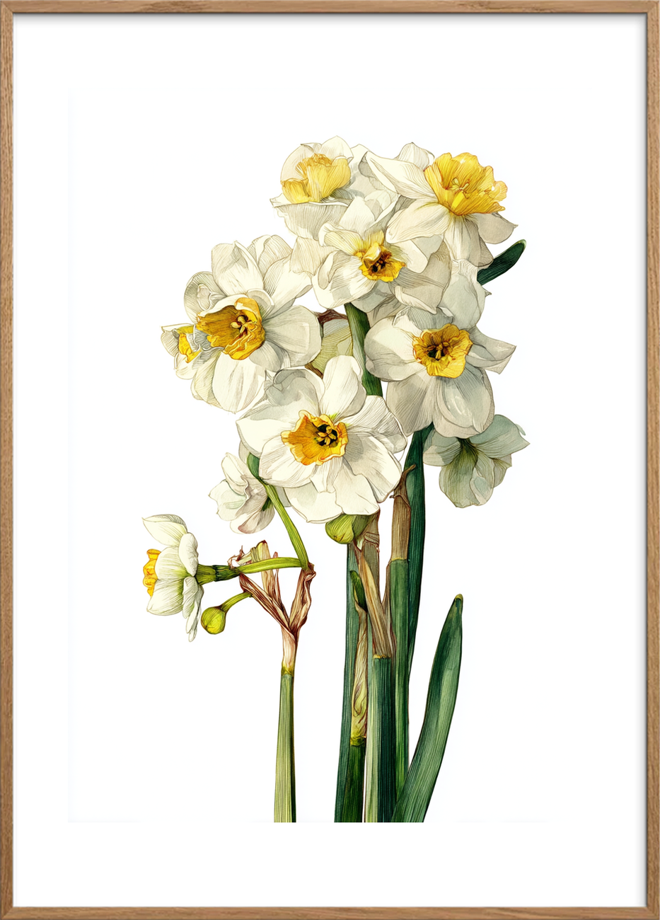 Suset fra hvide klokker - Oak Frame, With White Border