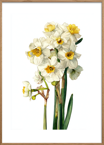 Suset fra hvide klokker - Oak Frame, With White Border