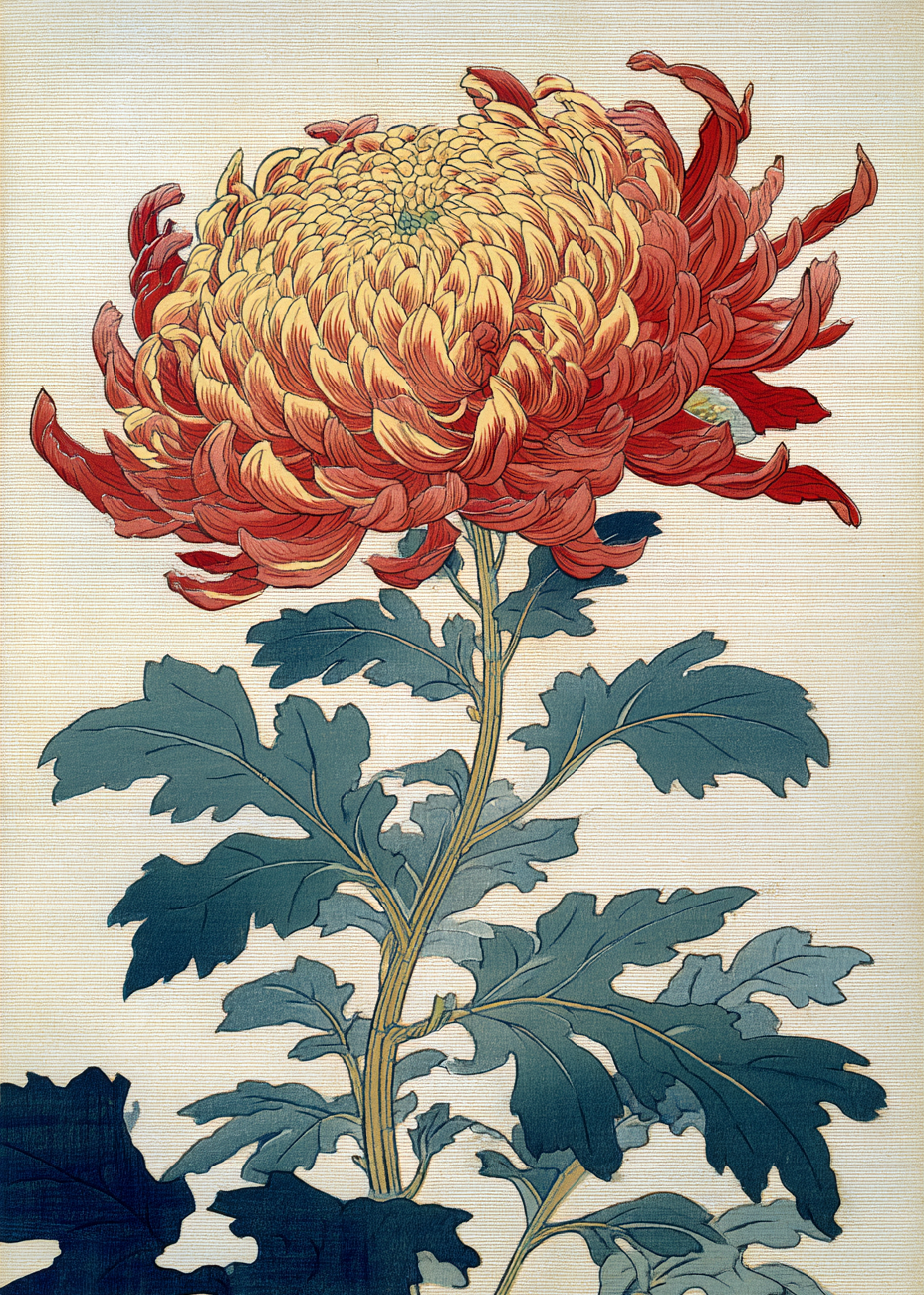 Duften af varm honning - No Frame, No Border