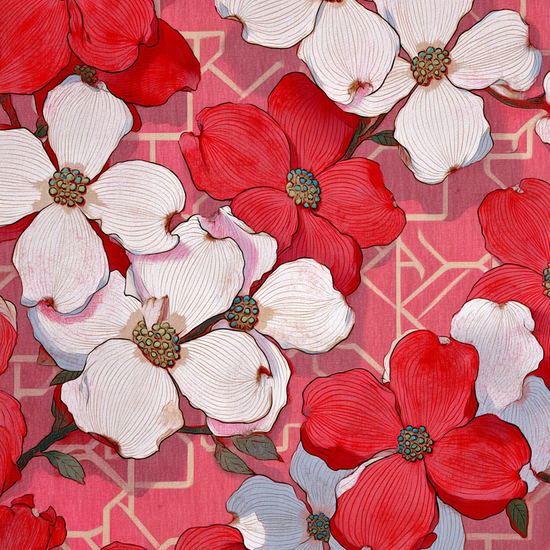 Fløjlsrødt sus af forår - No Frame, No Border