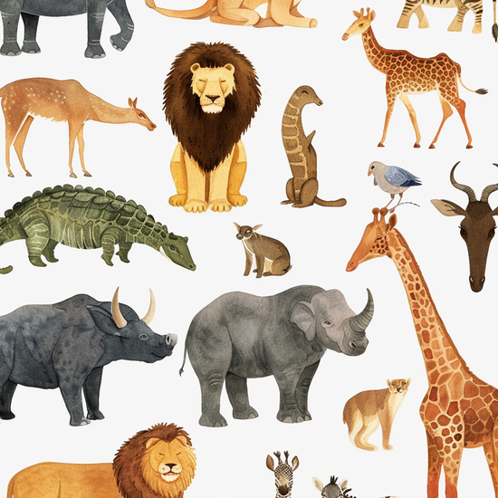 Savannens sagte rytme - No Frame, No Border