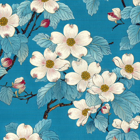 Honningens stille klang - No Frame, No Border