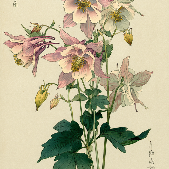 Silkeblød hvisken i luften - No Frame, No Border