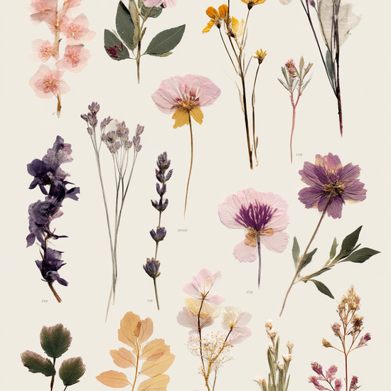 Hvisken fra tørret flora - No Frame, No Border