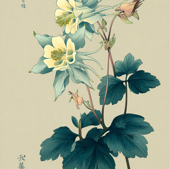 Silkeblød blågrøn hvisken - No Frame, No Border