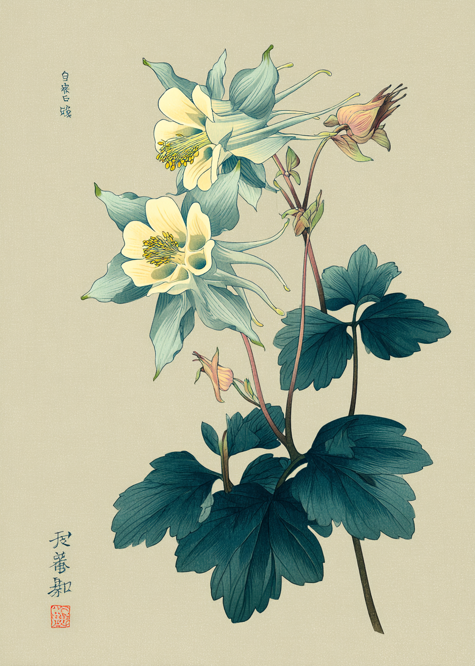 Silkeblød blågrøn hvisken - No Frame, No Border