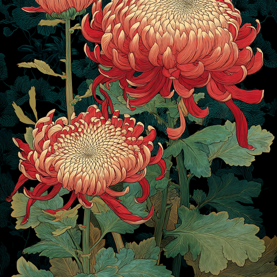 Fløjlsblomsternes varme hvisken - No Frame, No Border