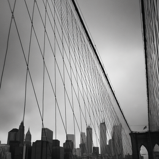 Ståltrådenes kolde hvisken - No Frame, No Border