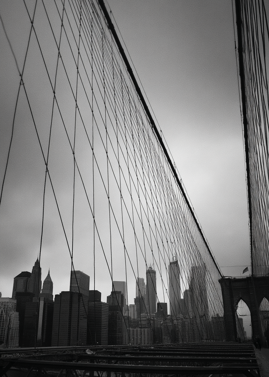 Ståltrådenes kolde hvisken - No Frame, No Border