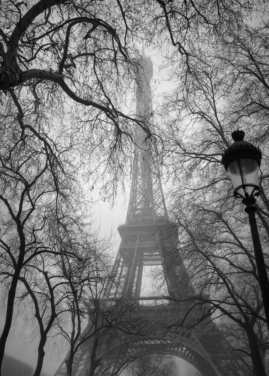 Tårnets dæmpede hvisken - No Frame, No Border