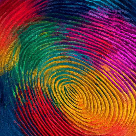 Spiralens sagte sus - No Frame, No Border