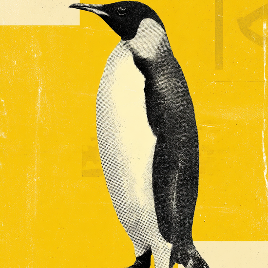 Isens stille klang - No Frame, No Border