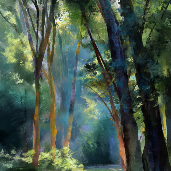 Skovens bløde hvisken - No Frame, No Border