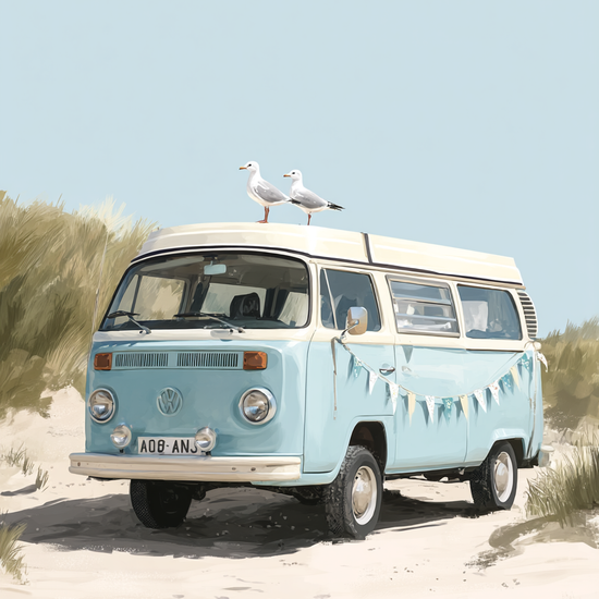 Mågernes sang over lakken - No Frame, No Border