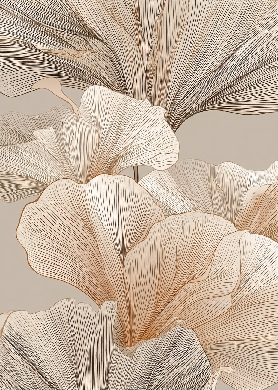 Silkens hvisken - No Frame, No Border