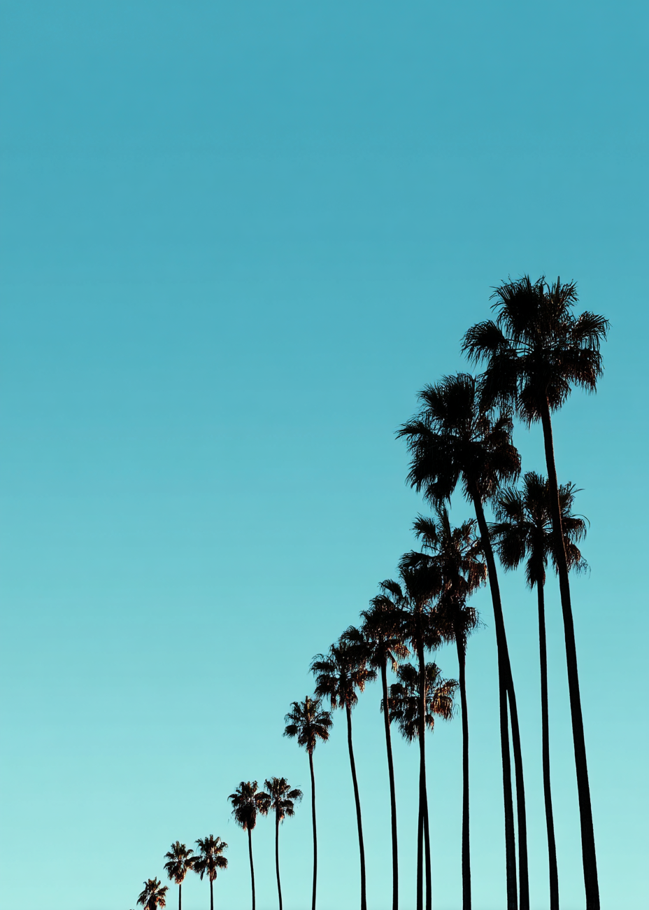 Sus af sol og salt - No Frame, No Border