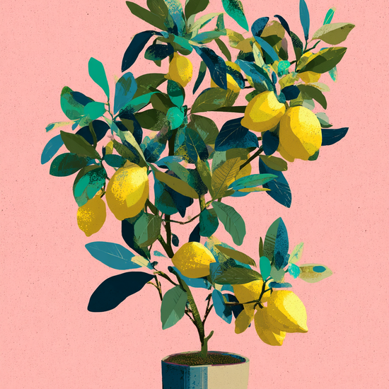 Syrlig sommer på tungen - No Frame, No Border