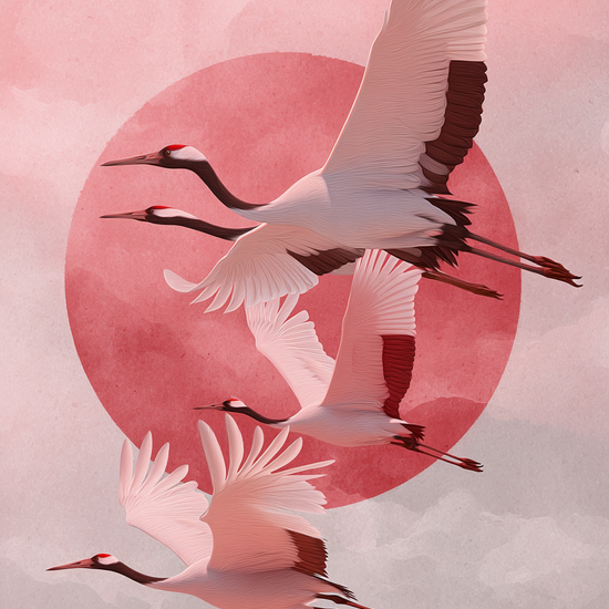 Solens sagte kald - No Frame, No Border