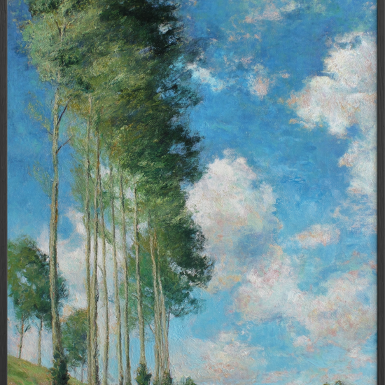 Luften synger i træerne - Black Frame, No Border