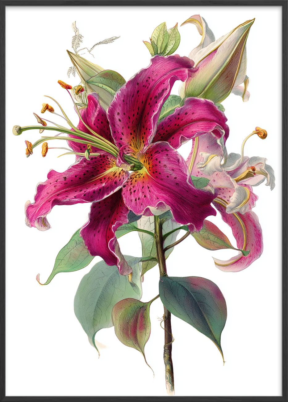 Hviskende sødme i blomst - Black Frame, No Border