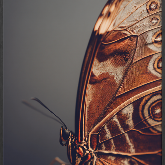 Hvisken fra fløjlsvingen - Black Frame, No Border