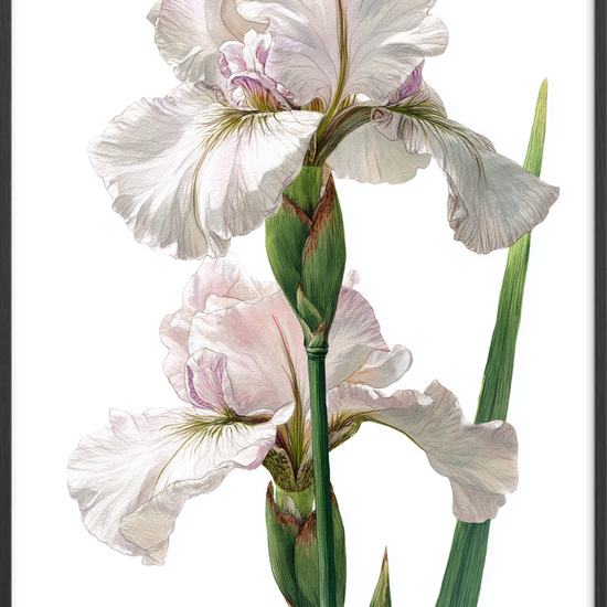 Silkens kølige berøring - Black Frame, No Border