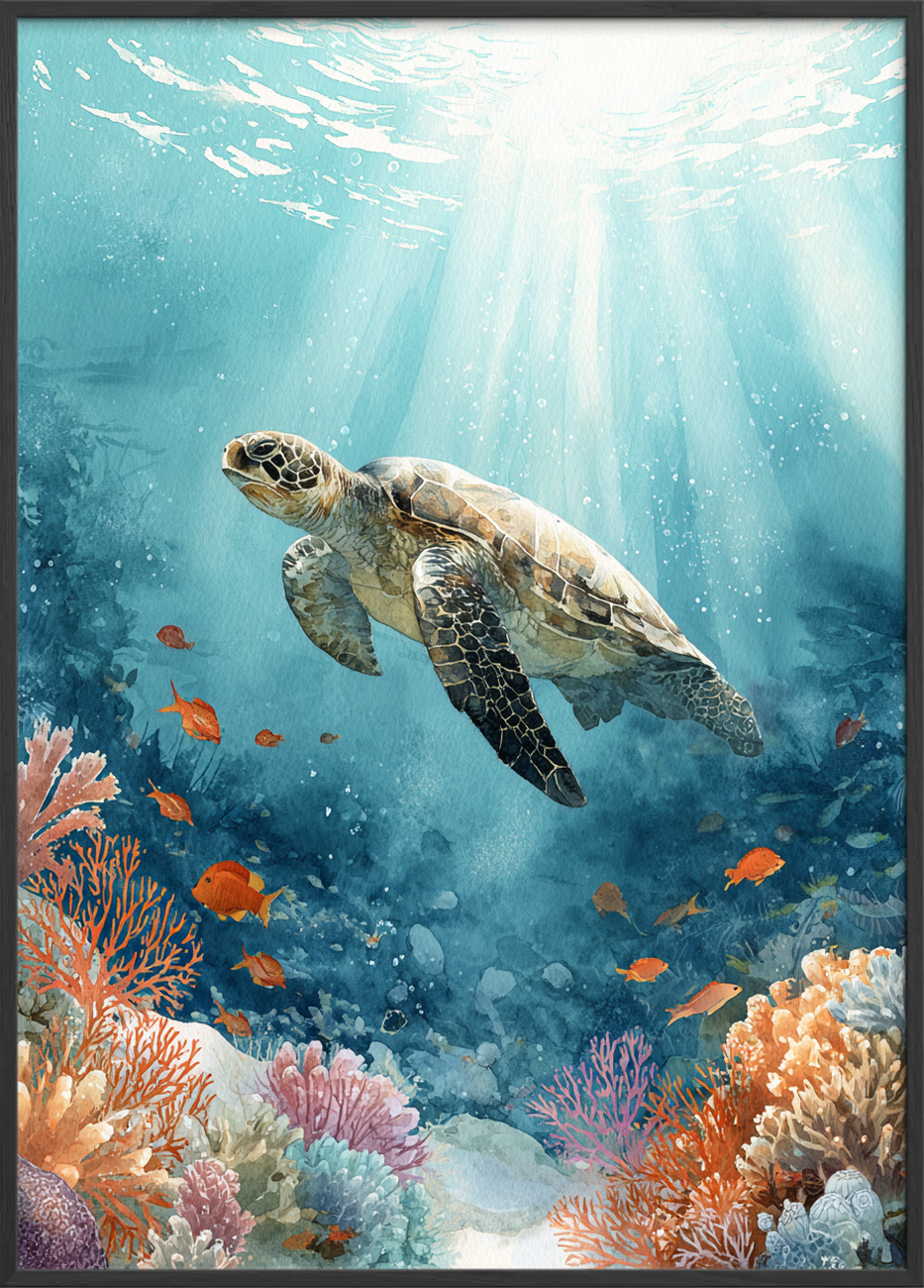 Skildpaddens tyste sang - Black Frame, No Border