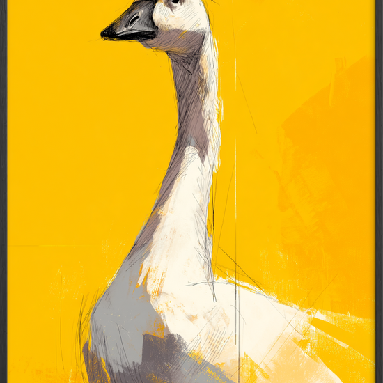 Et silkeblødt kald - Black Frame, No Border