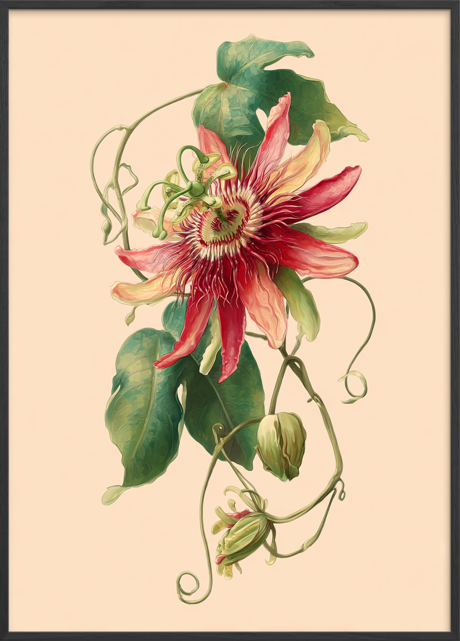 Smygende summen af sommer - Black Frame, No Border