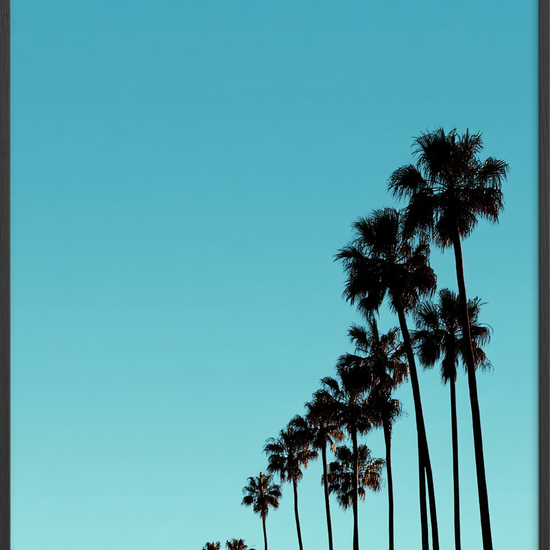 Sus af sol og salt - Black Frame, No Border