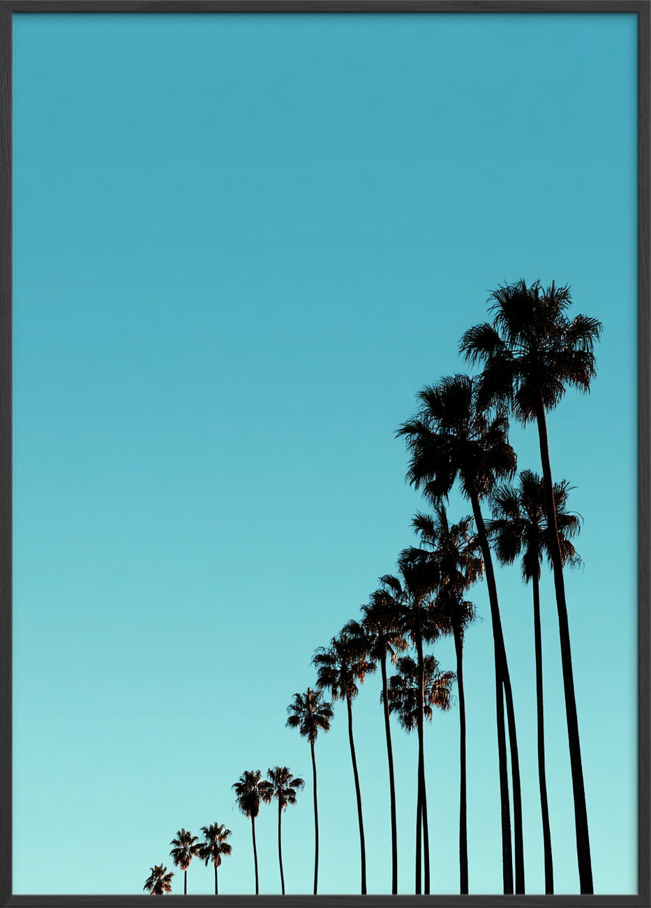 Sus af sol og salt - Black Frame, No Border