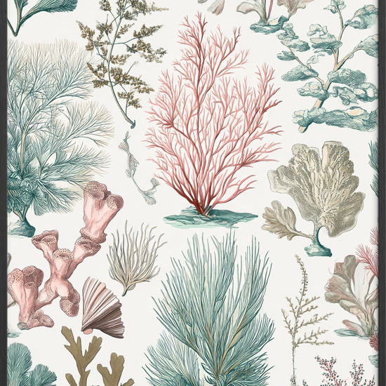 Salt på tungen - Black Frame, No Border