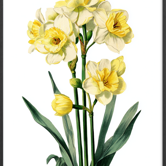 Solens blide hvisken - Black Frame, No Border