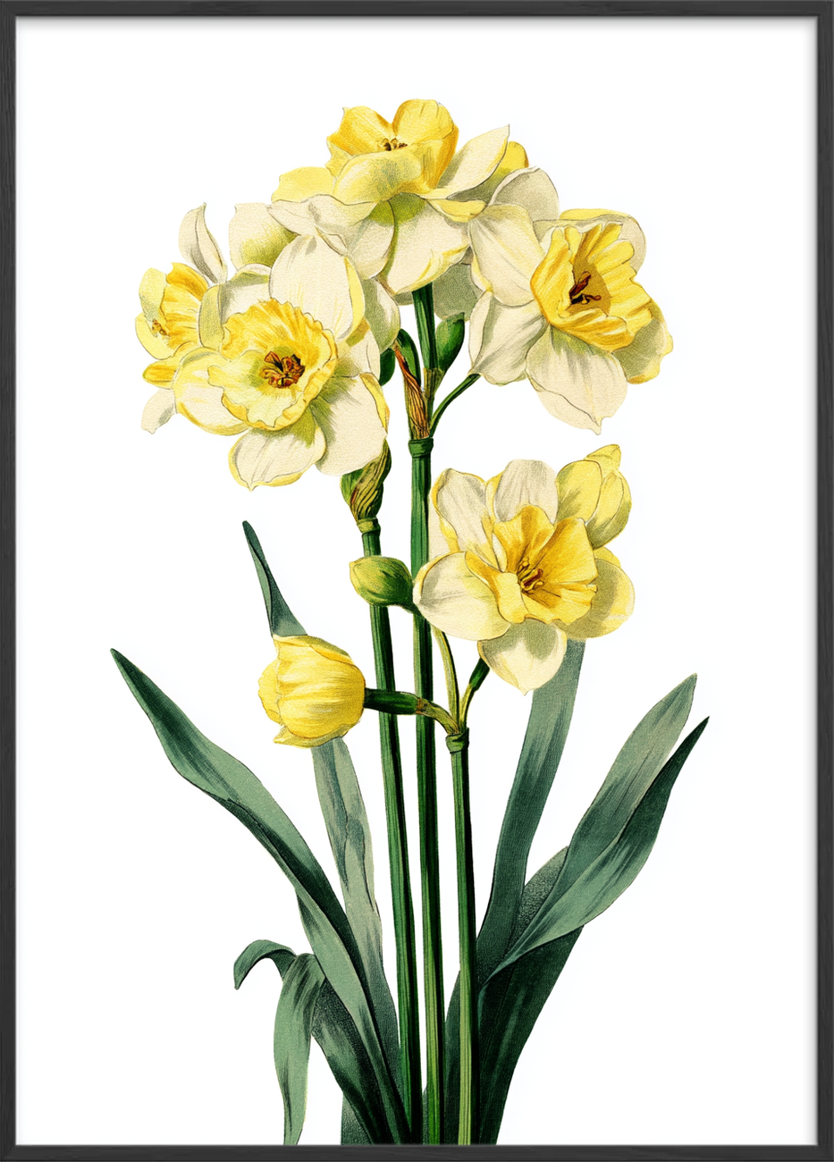 Solens blide hvisken - Black Frame, No Border