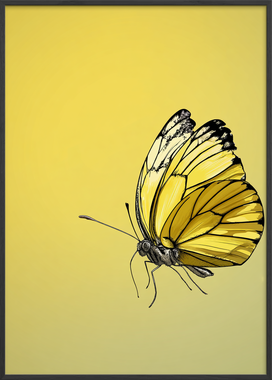 Vingernes honningduft - Black Frame, No Border