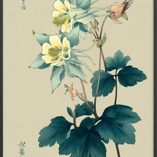 Silkeblød blågrøn hvisken - Black Frame, No Border