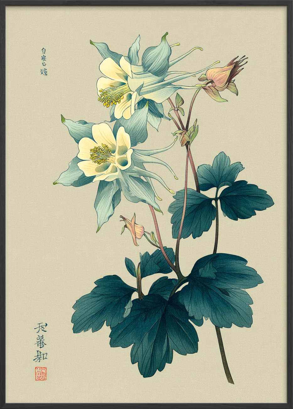 Silkeblød blågrøn hvisken - Black Frame, No Border