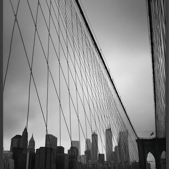 Ståltrådenes kolde hvisken - Black Frame, No Border